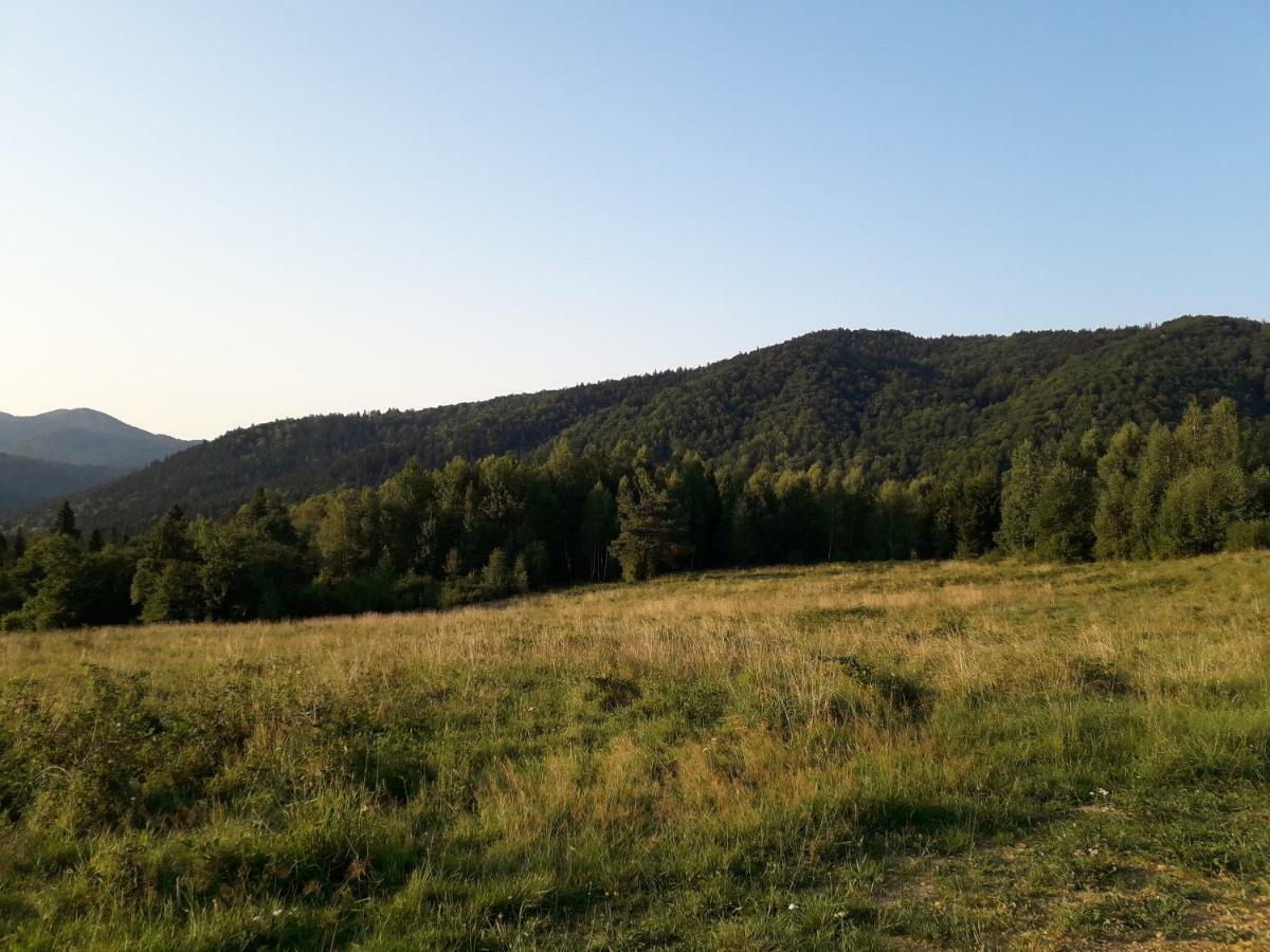 Bed and Breakfast Lesne Berdo Przyslup Cisna Exterior foto