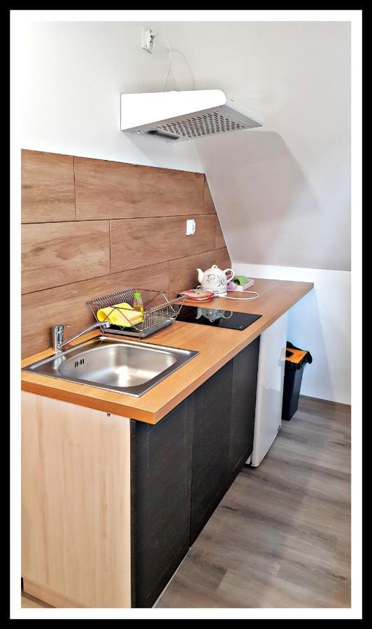 Bed and Breakfast Lesne Berdo Przyslup Cisna Exterior foto